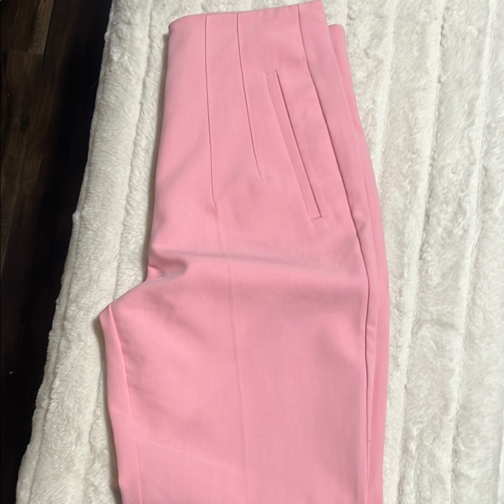 Zara Pink Women's Pants